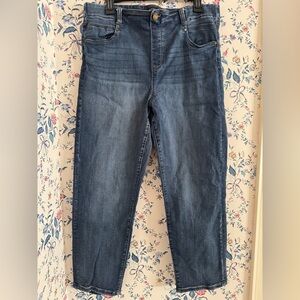 Liverpool Blue Denim Skinny Jeans, Size 16